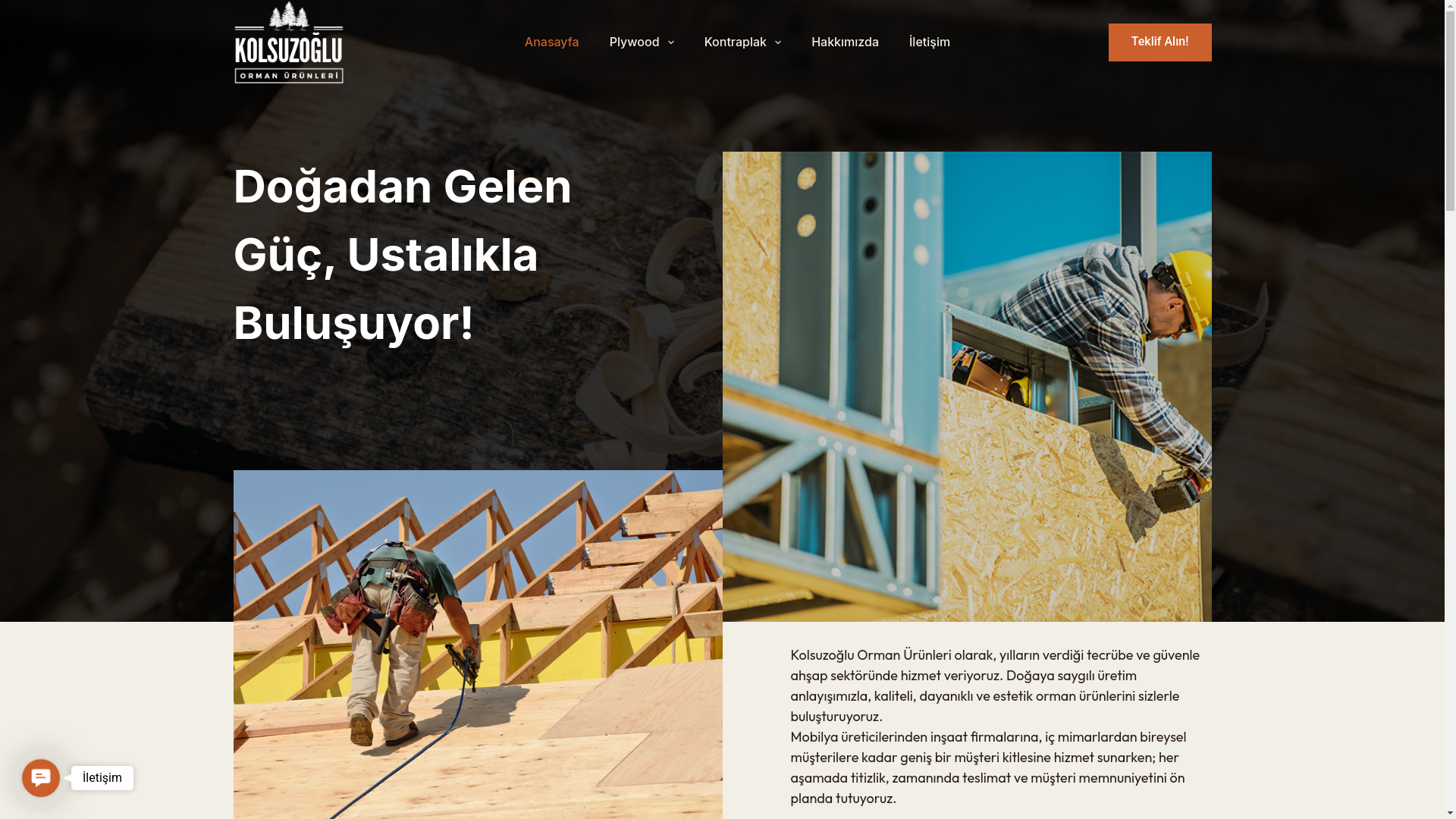 website screenshot of https://kolsuzogluormanururunleri.com/