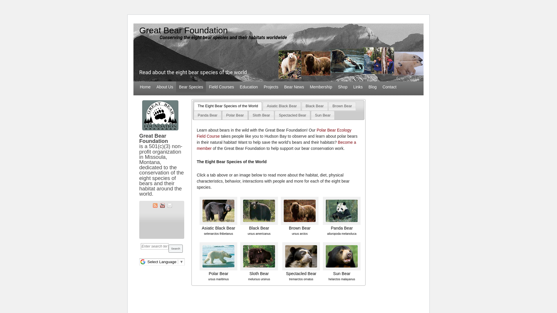 website screenshot of https://sassyshope.com/