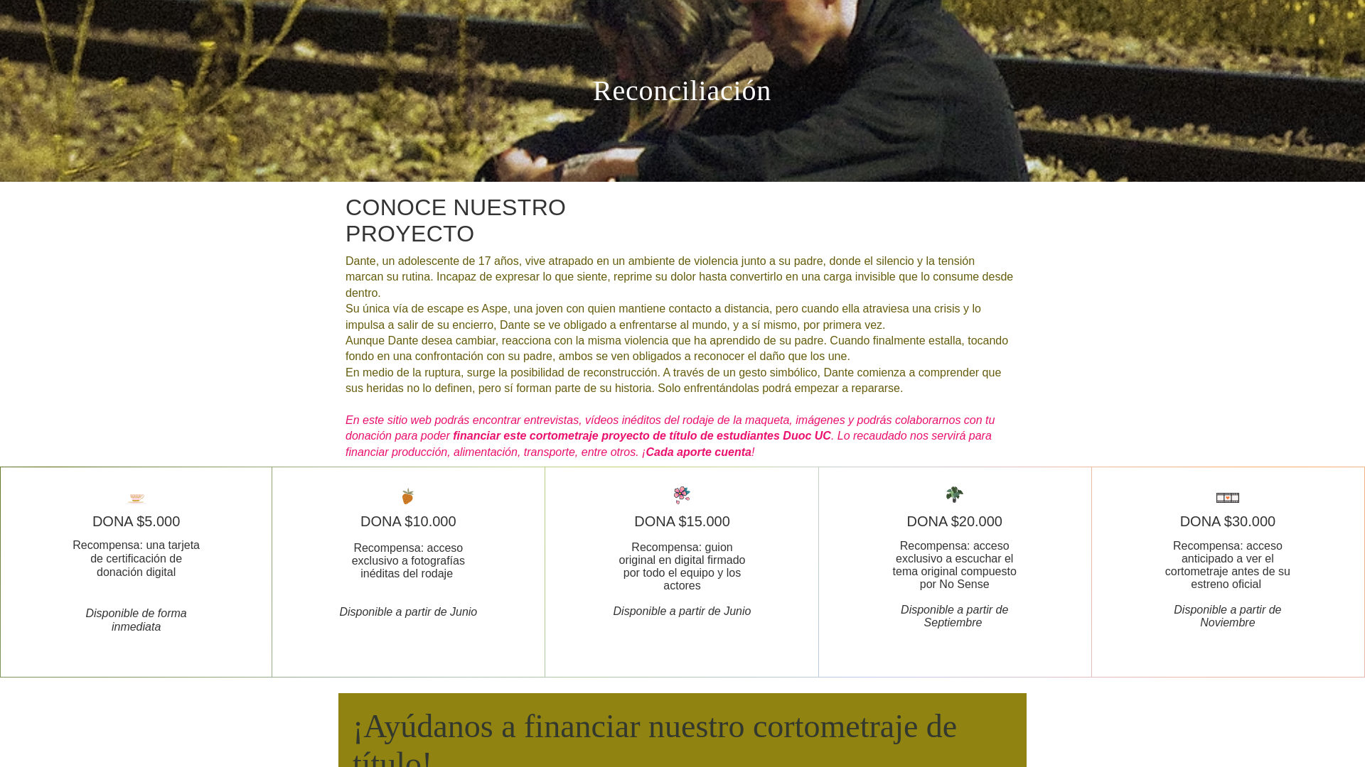 website screenshot of https://gofundreconciliacion.com/