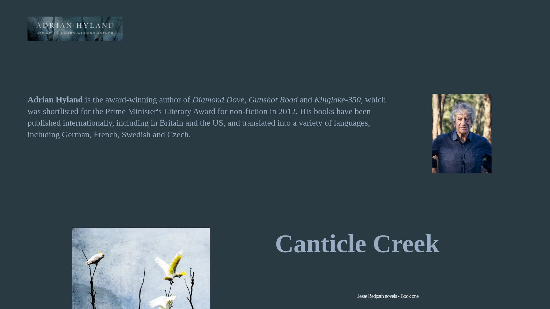 website screenshot of https://adrianhyland.com.au/