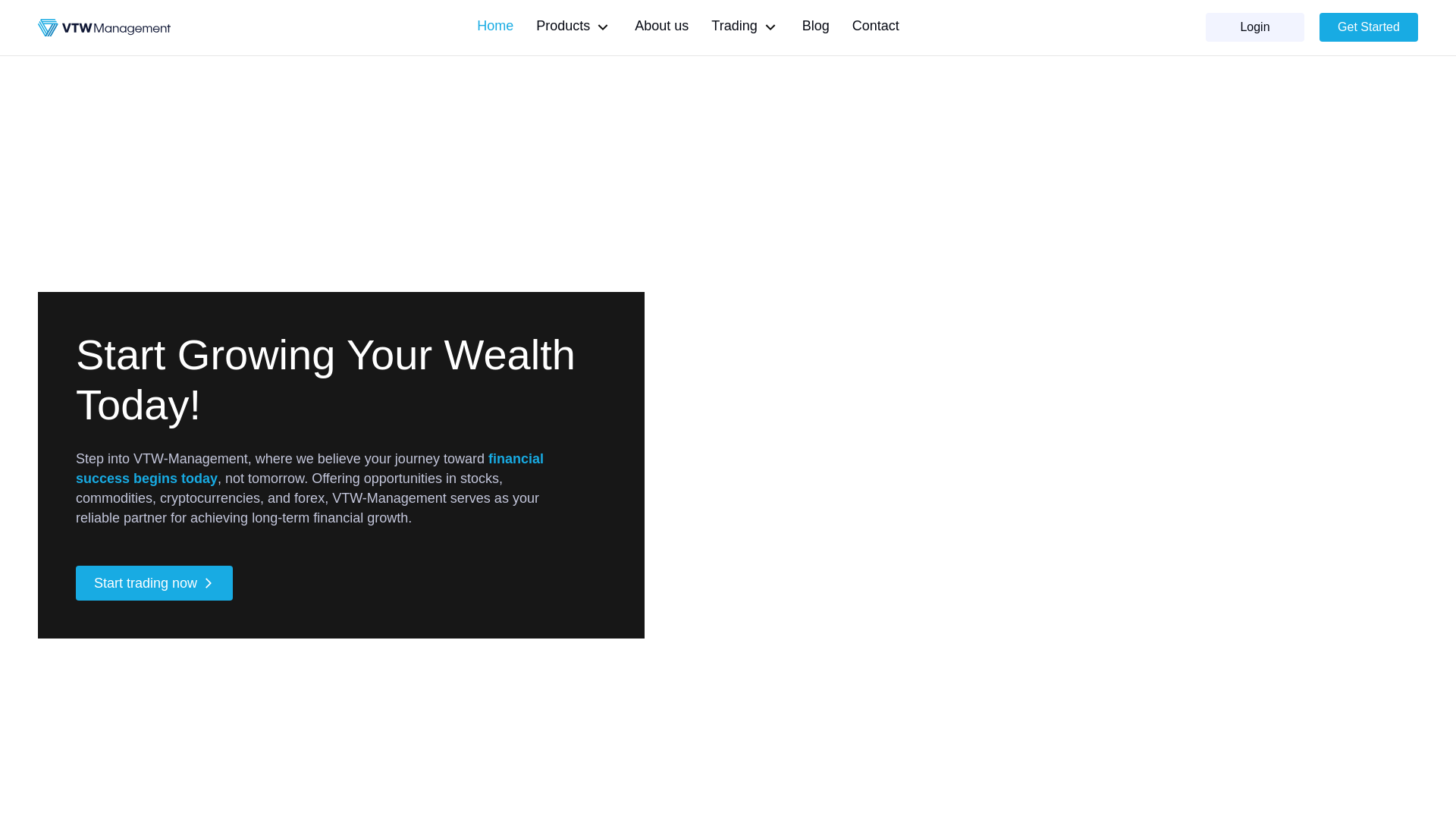 website screenshot of https://wealth-mvt.info