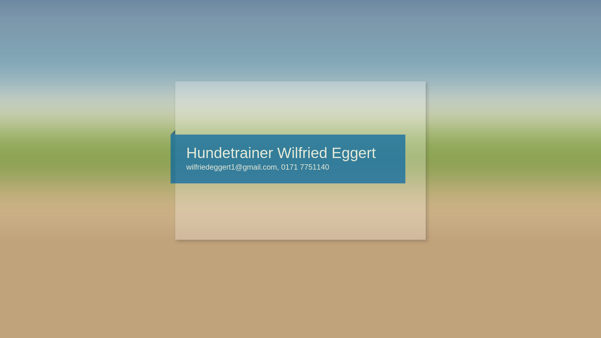 website screenshot of https://hundetrainer-wilfried-eggert.de/