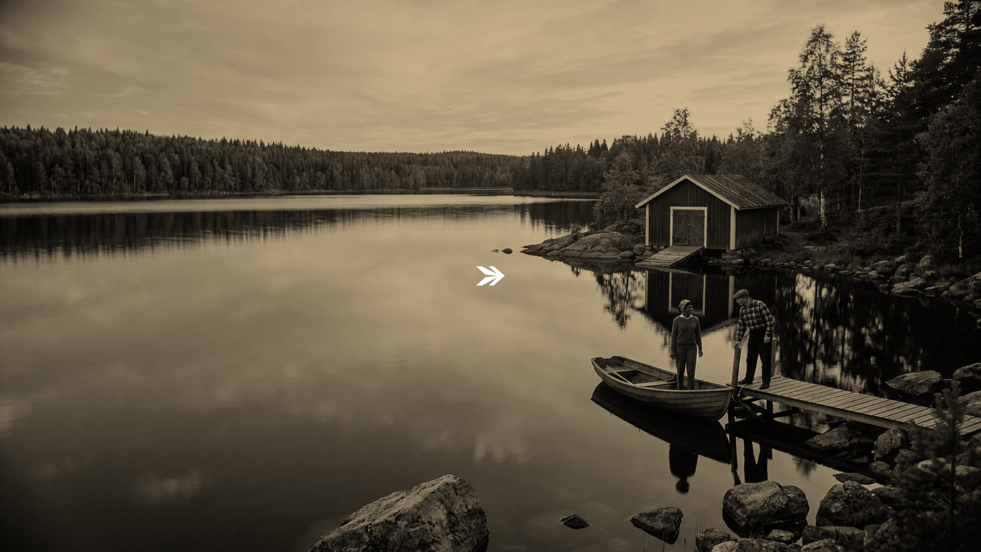 website screenshot of https://fastforwardfinland.com/