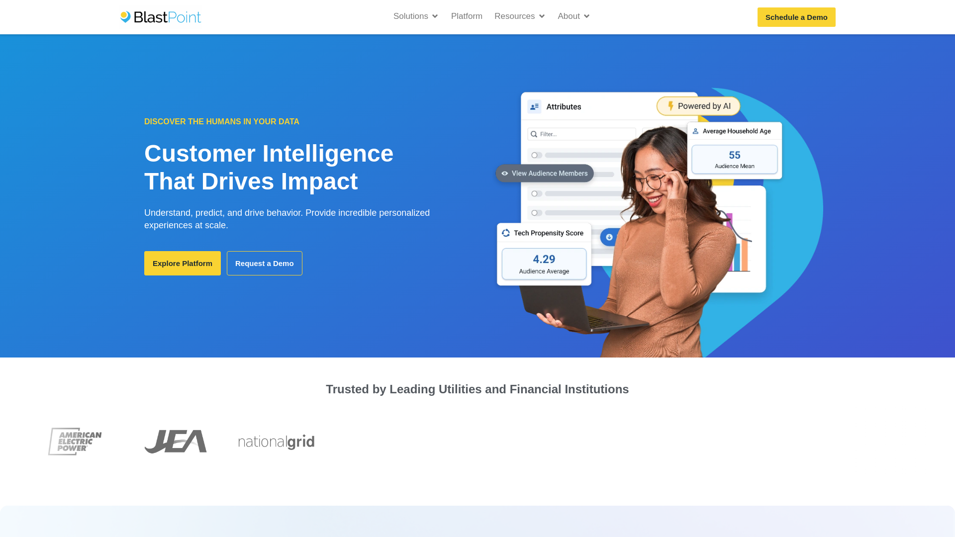 website screenshot of https://blastpointdata.com