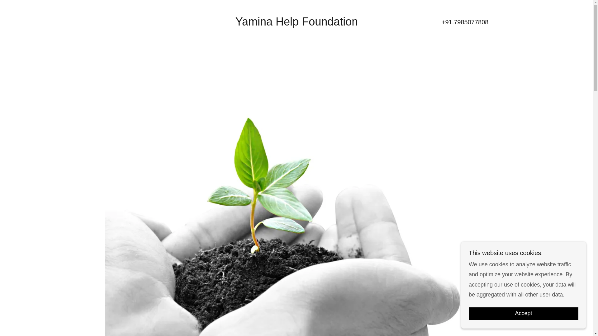 website screenshot of https://yaminahelpsfoundation.com/
