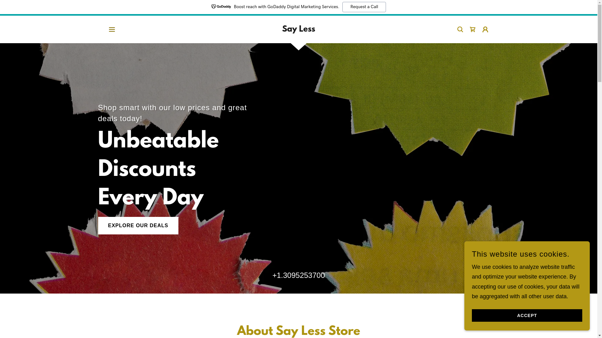 website screenshot of https://saylesskewanee.com/
