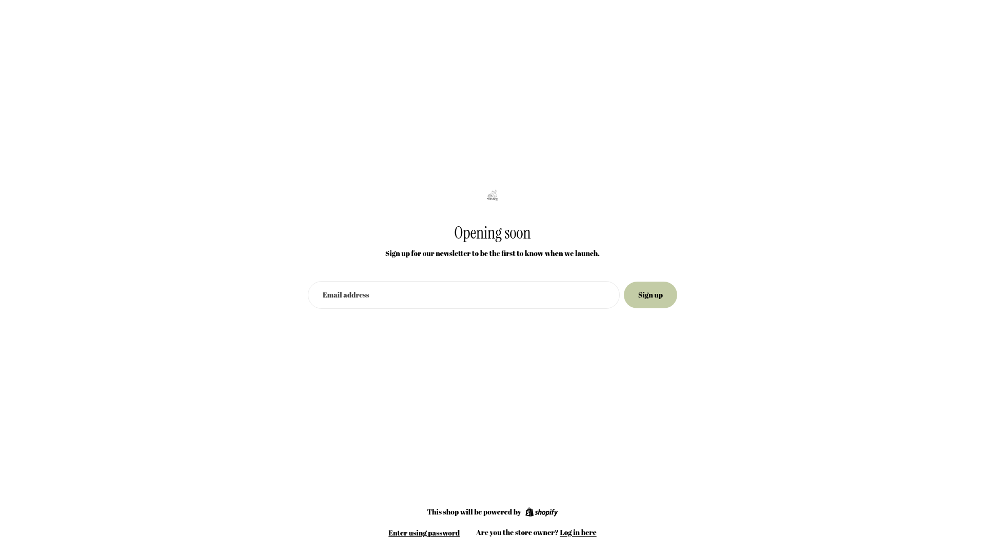 website screenshot of https://pinkurchinswim.com/