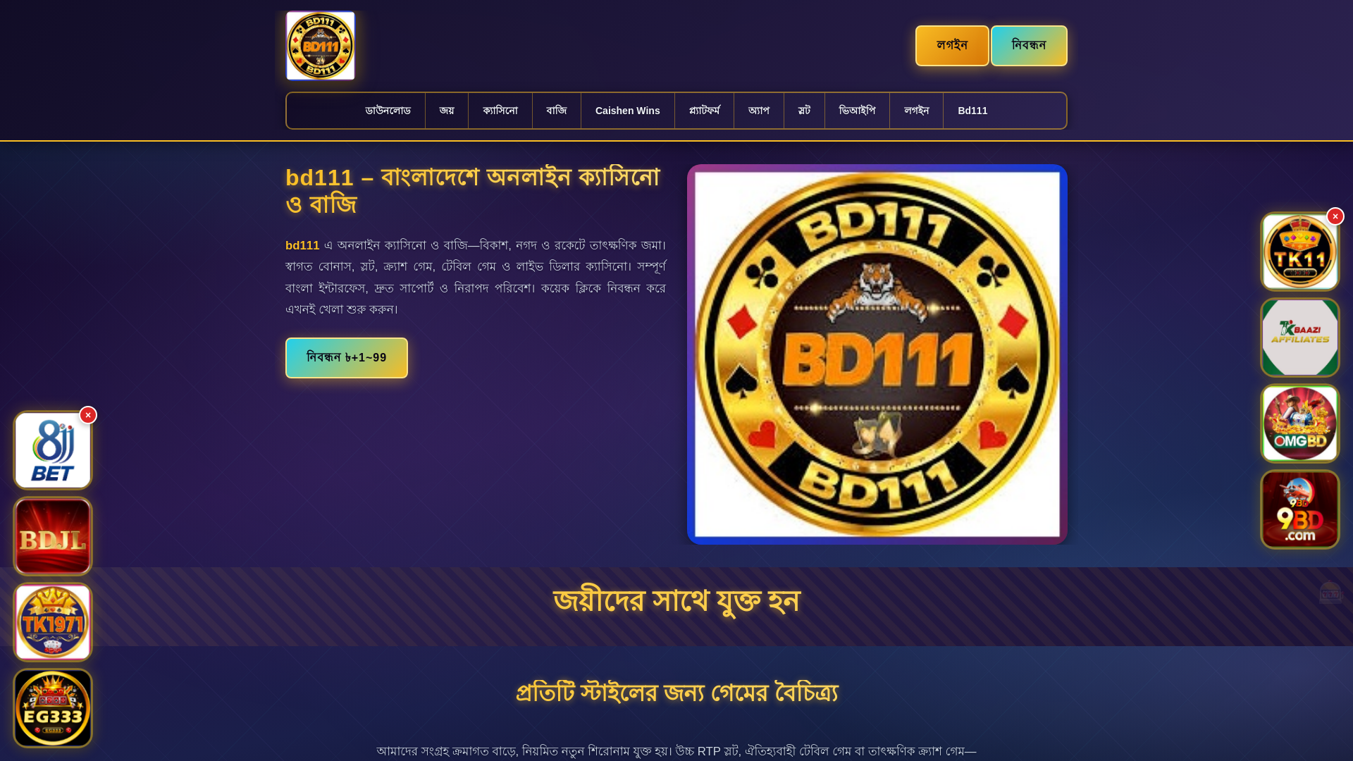 website screenshot of https://bd111panch.com/