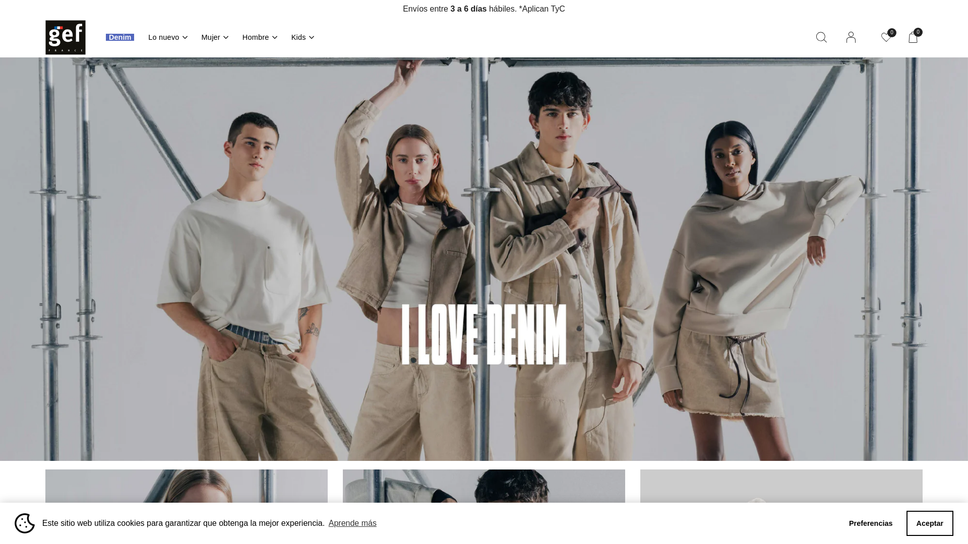 website screenshot of https://gef.co/