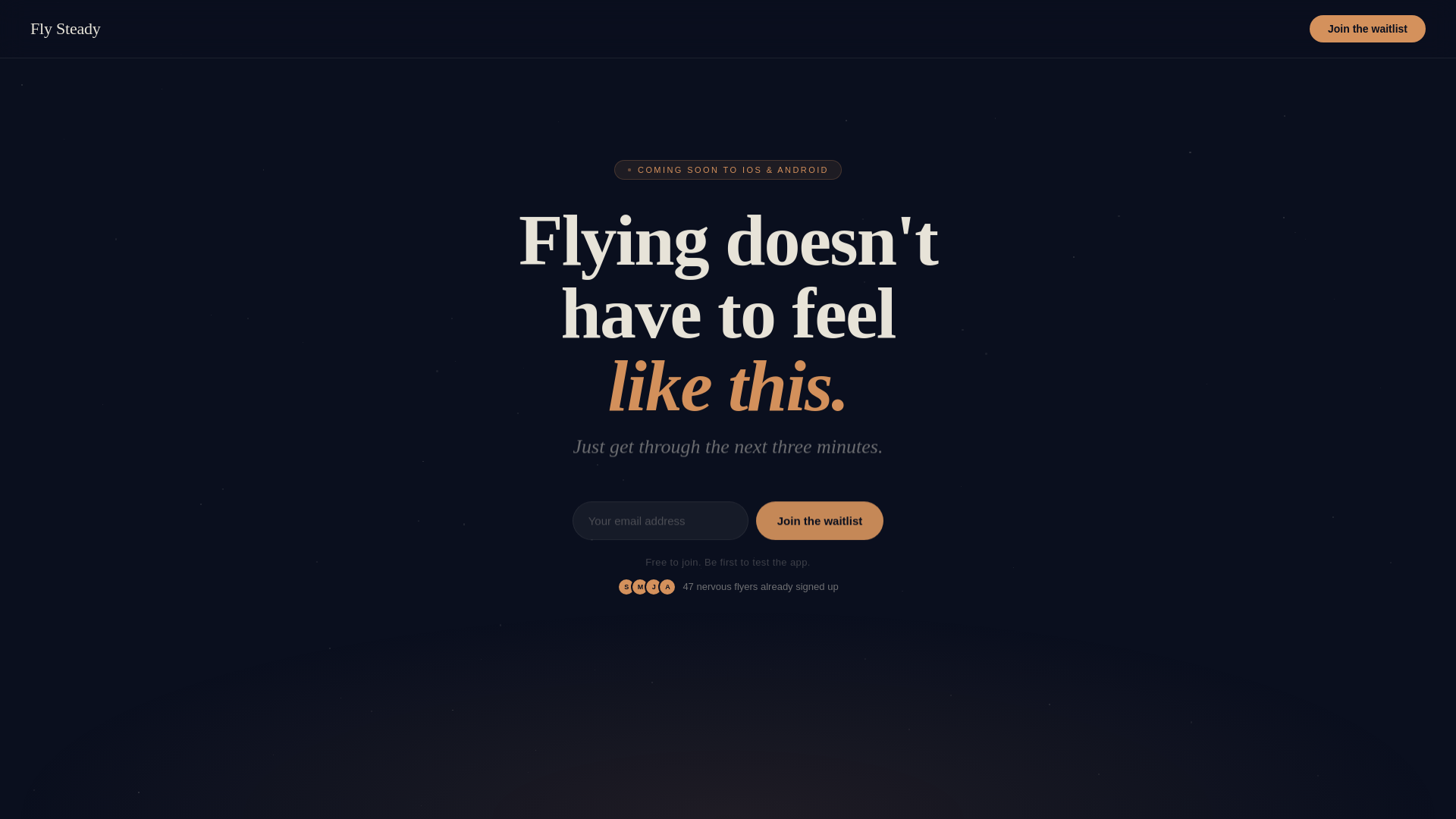 website screenshot of https://flysteadyapp.com/