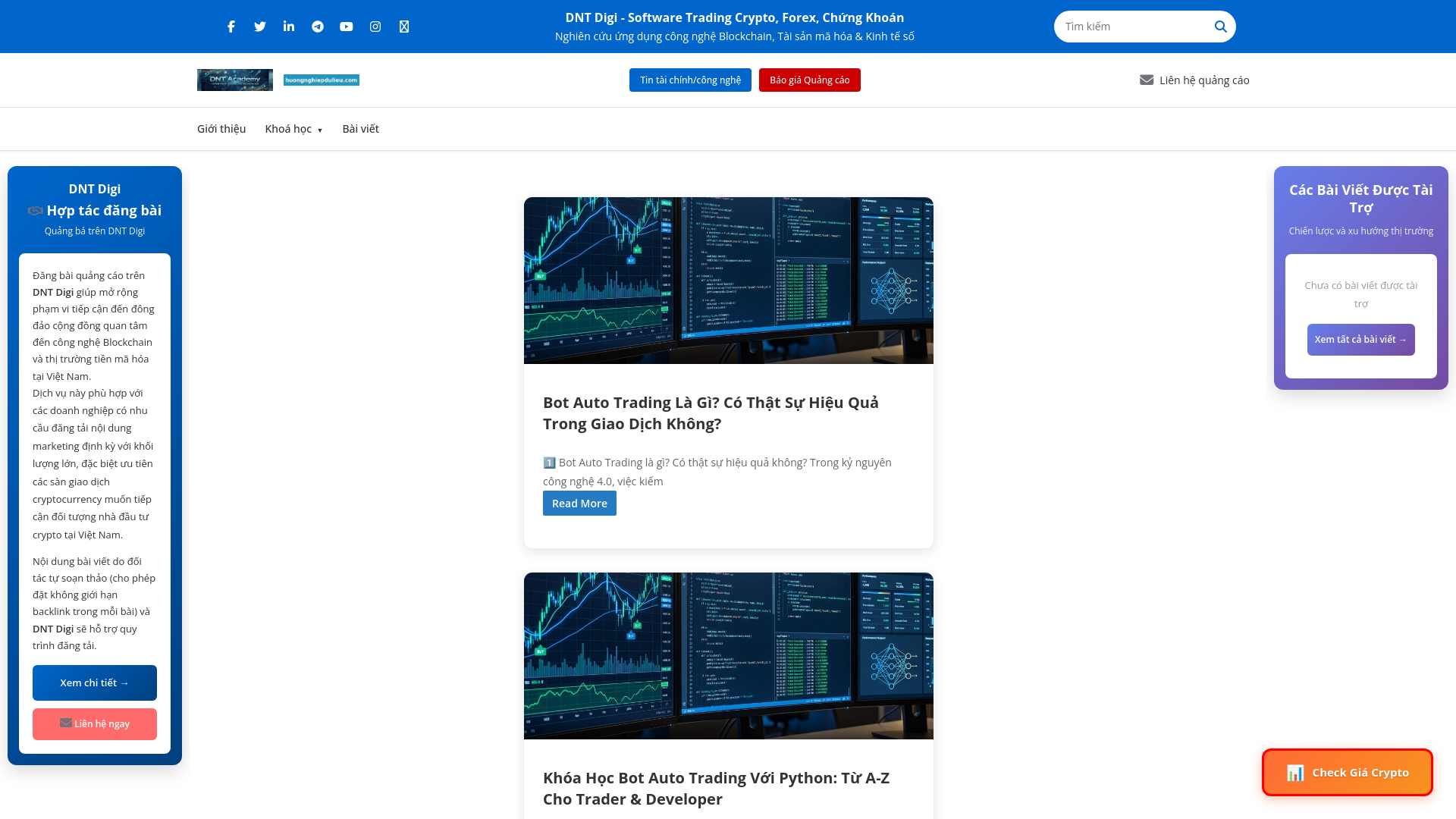 website screenshot of https://dntdigi.com/