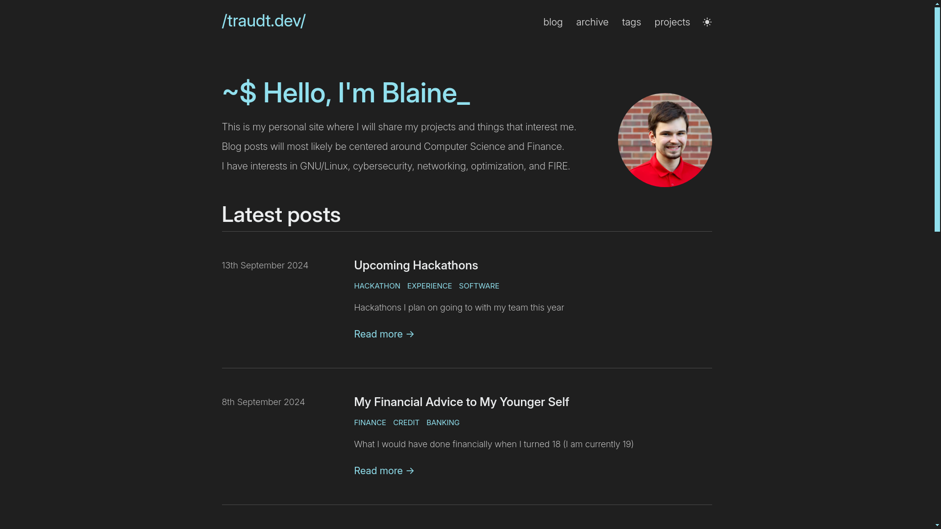 website screenshot of https://traudt.dev/