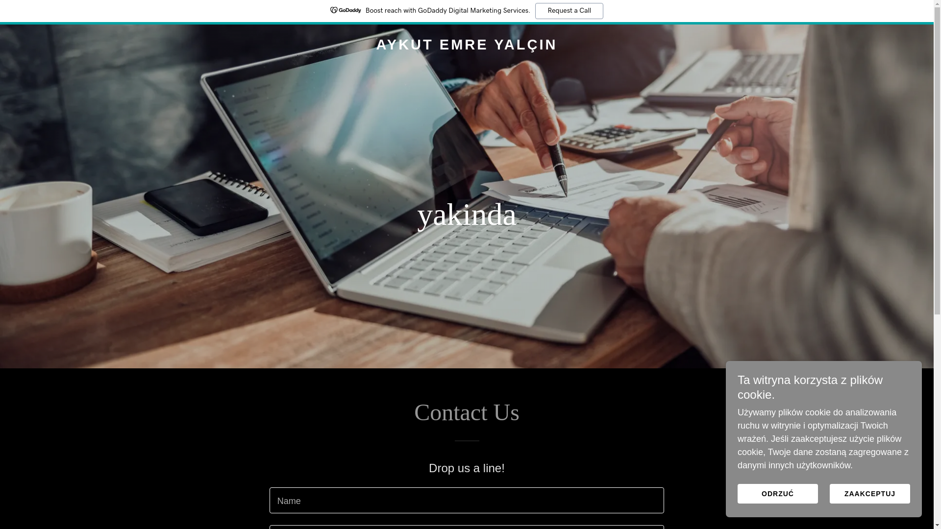 website screenshot of https://aykutemreyalcin.com/