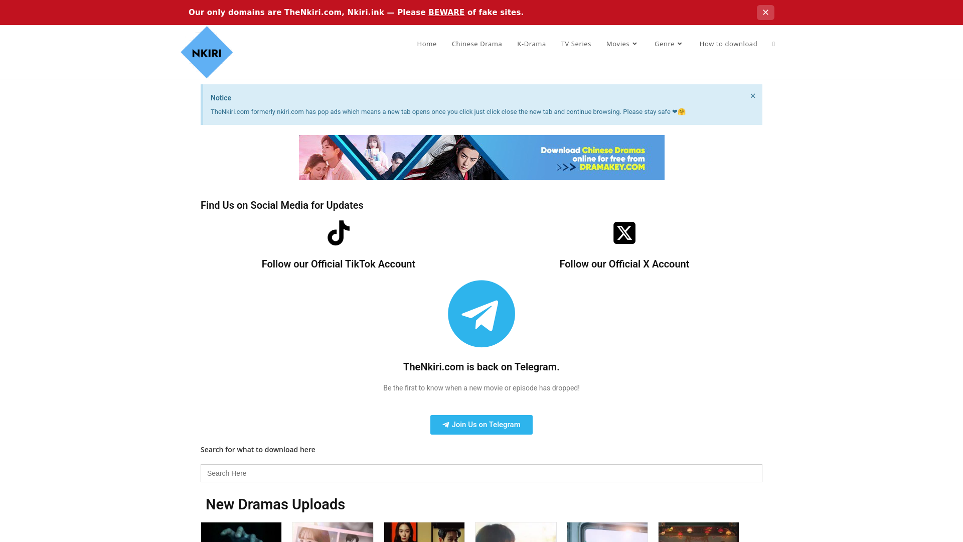 website screenshot of https://thenkiri.com