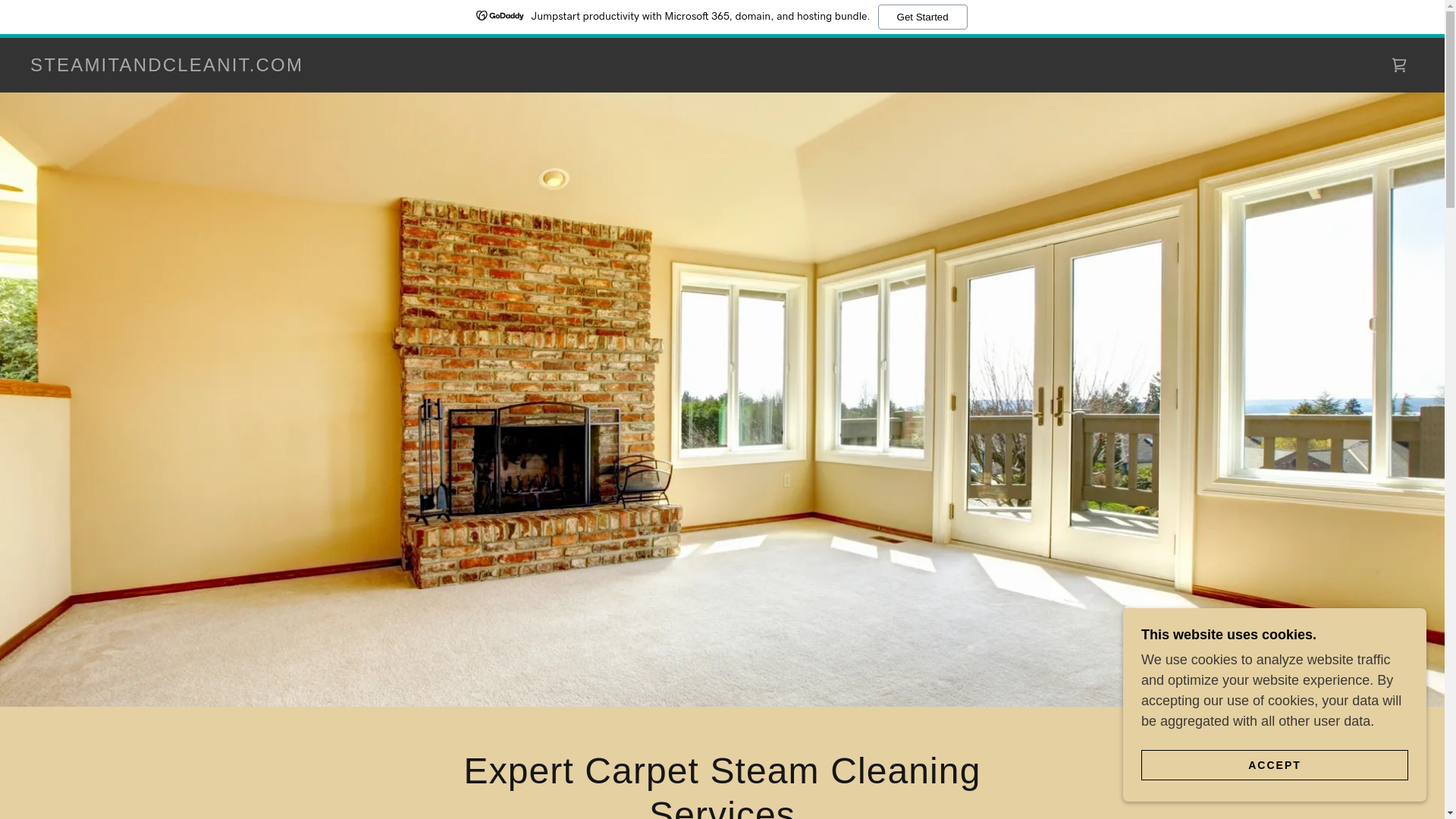 website screenshot of https://steamitandcleanit.com/