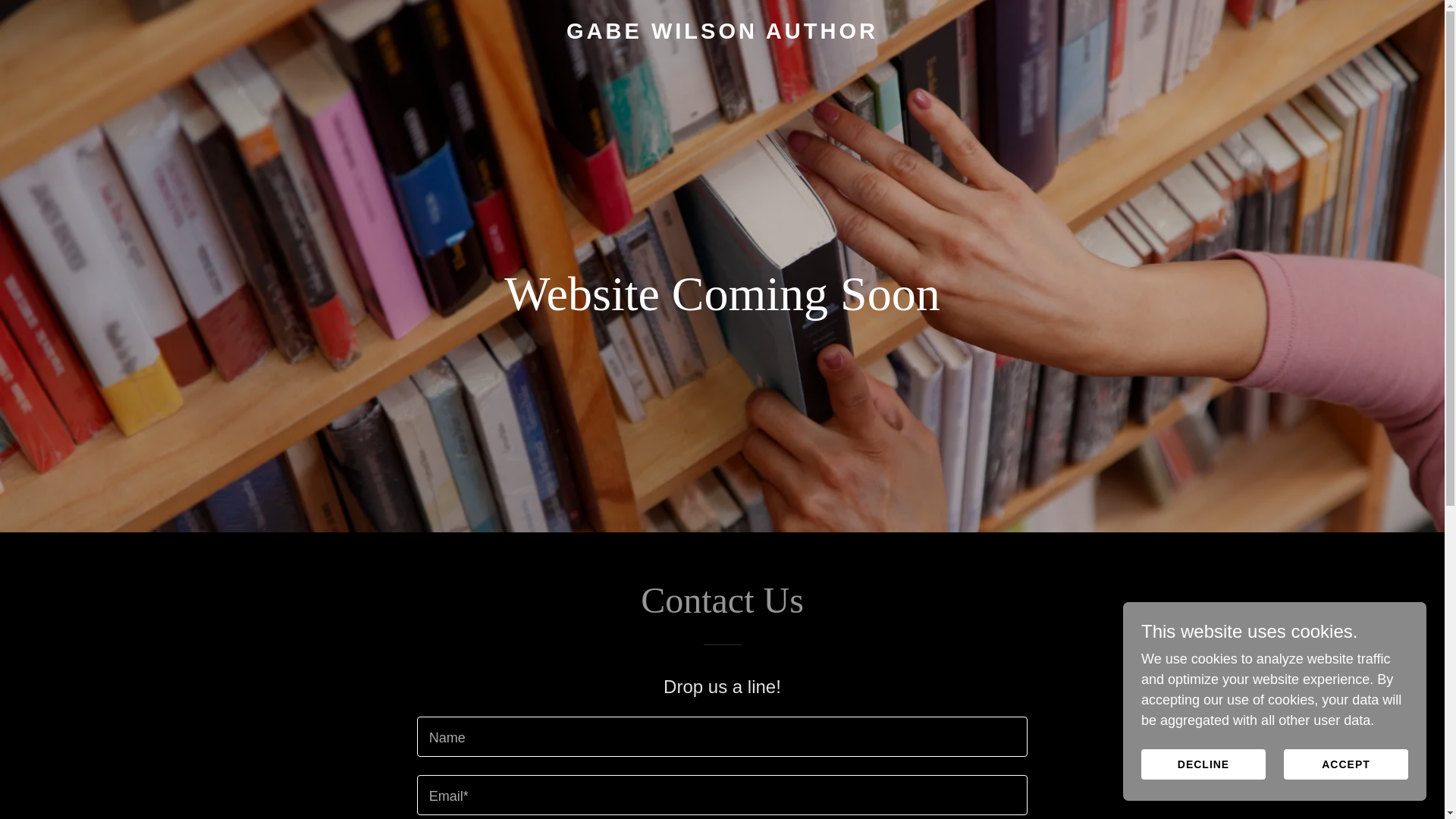 website screenshot of https://gabewilsonauthor.com/