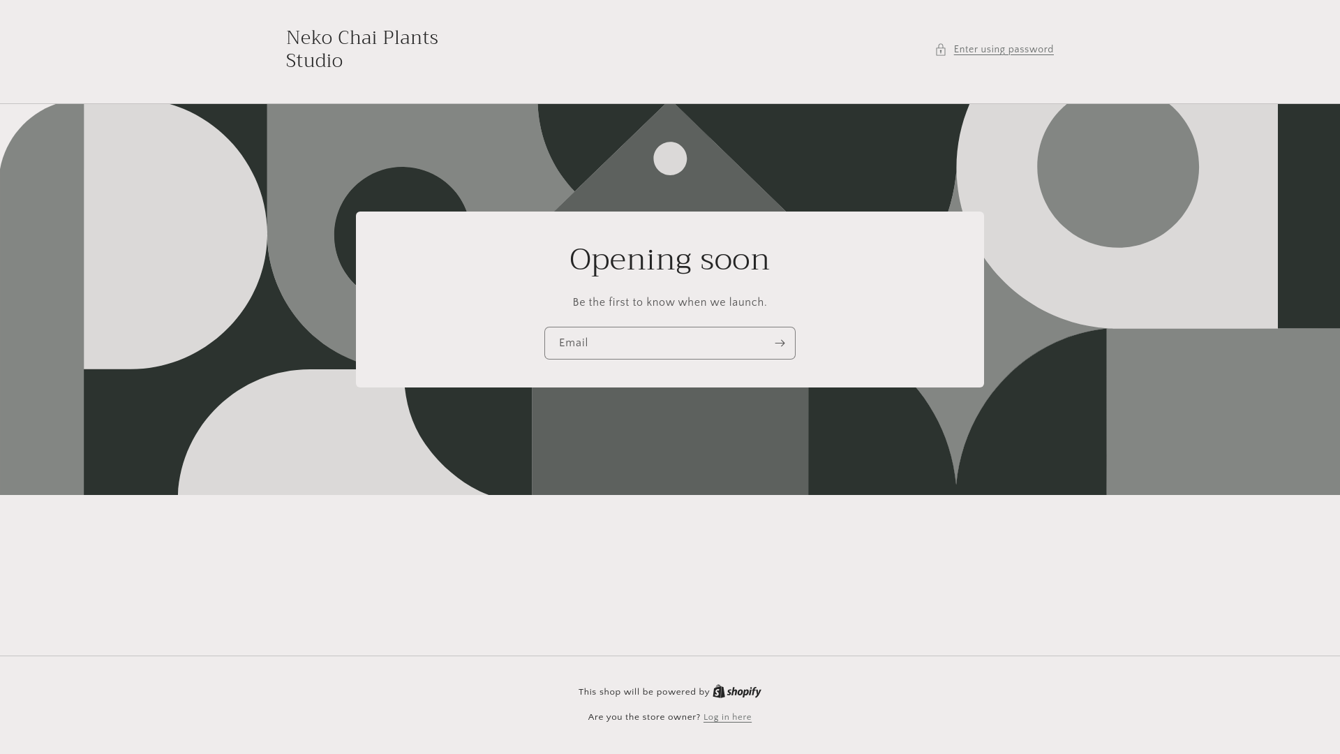 website screenshot of https://nekochaiplants.com/