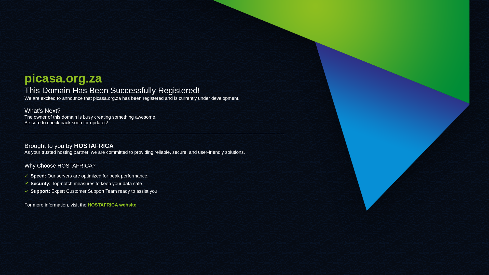 website screenshot of https://picasa.org.za/