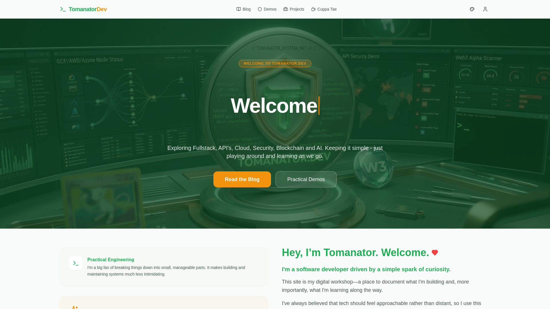 website screenshot of https://tomanator.dev/