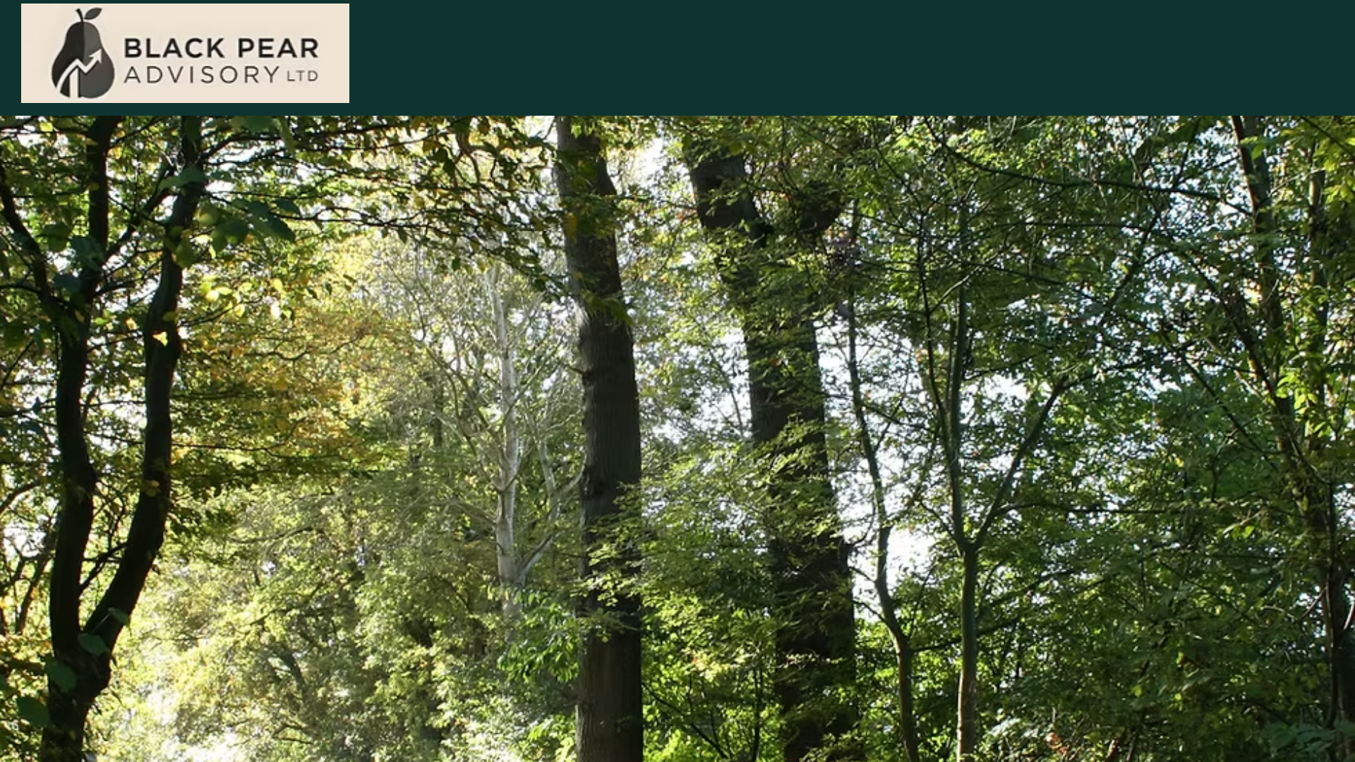 website screenshot of https://blackpear.space/