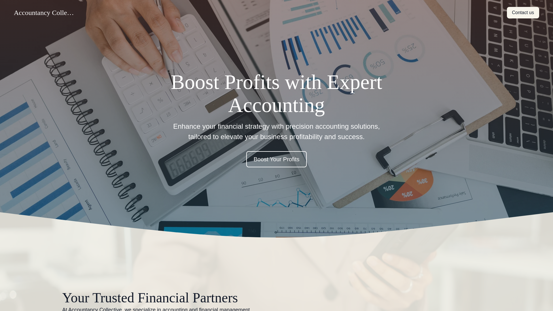 website screenshot of https://accountancycollectivegroup.com