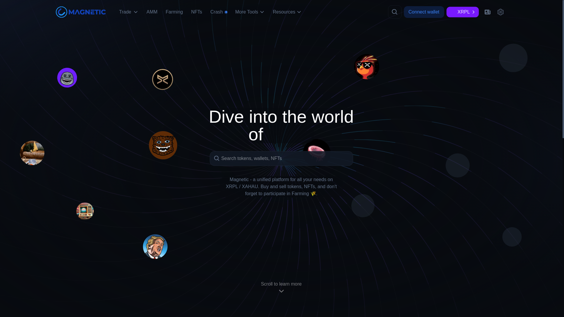 website screenshot of https://www-xmagnetic.org/