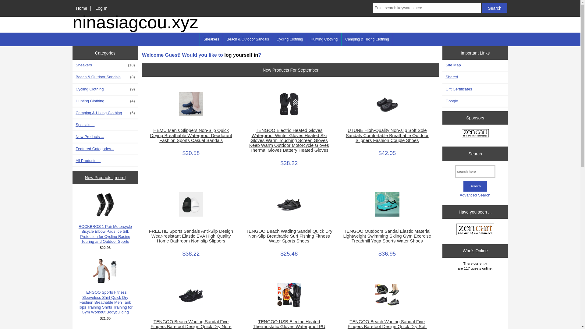 website screenshot of https://ninasiagcou.xyz/
