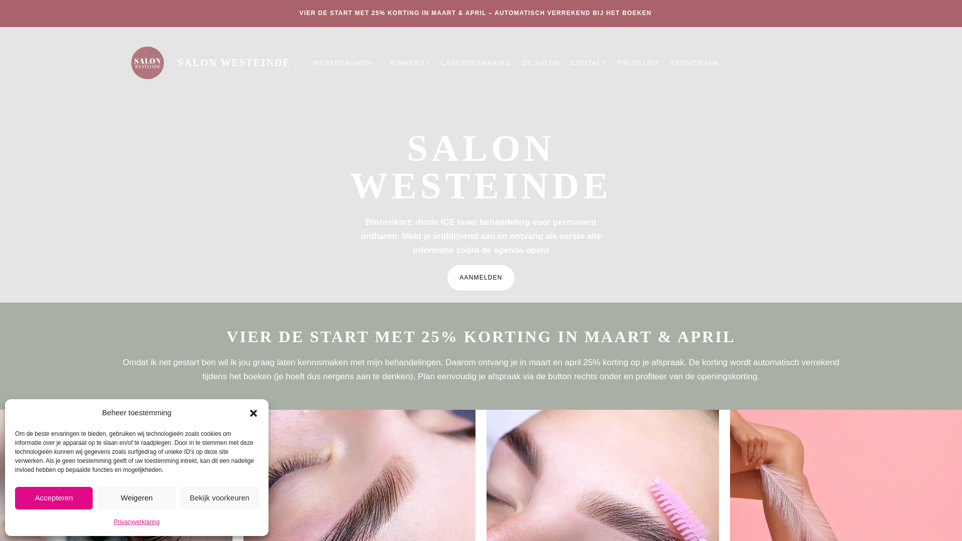 website screenshot of https://salonwesteinde.nl
