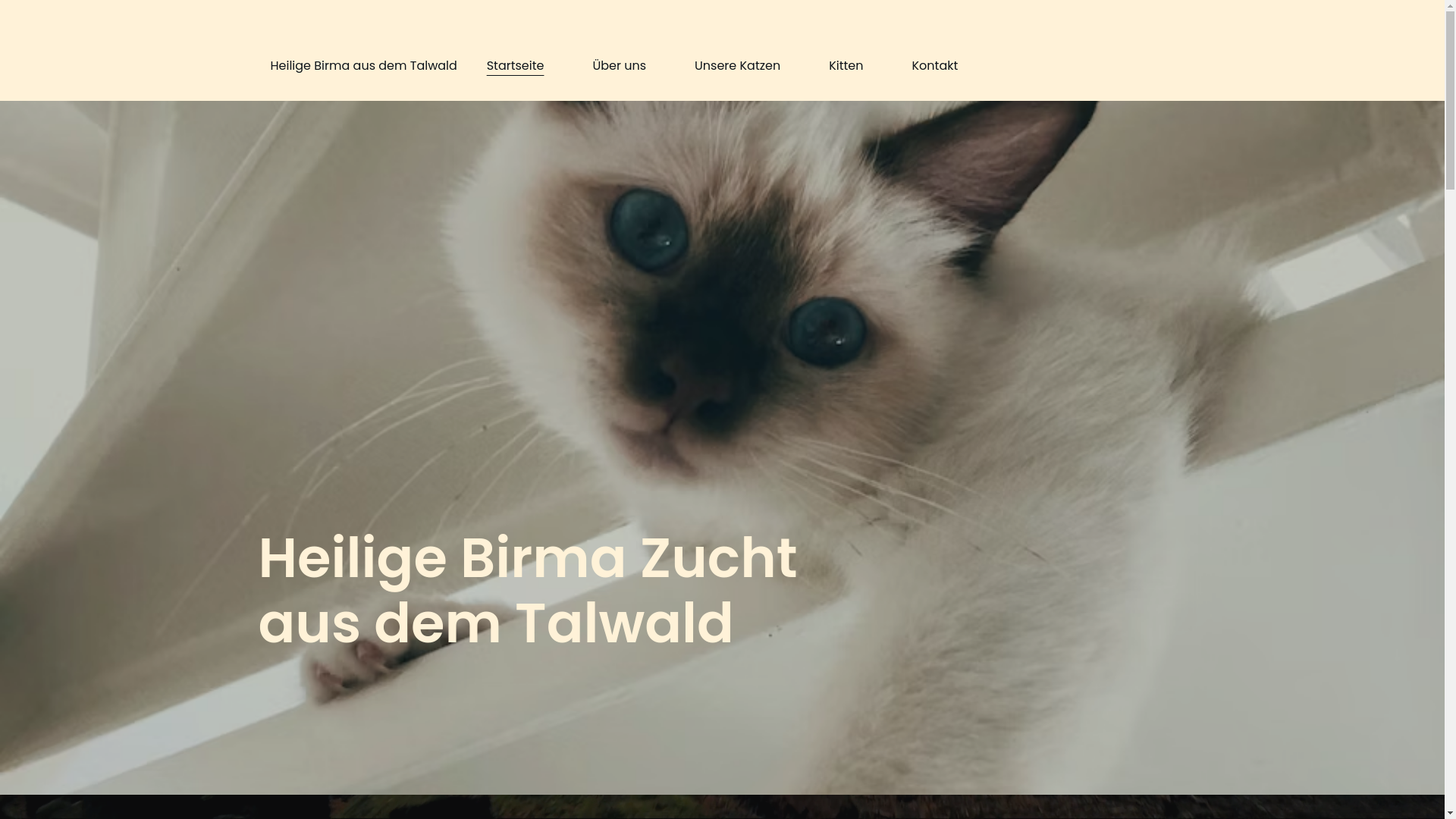 website screenshot of https://heilige-birma-aus-dem-talwald.de/