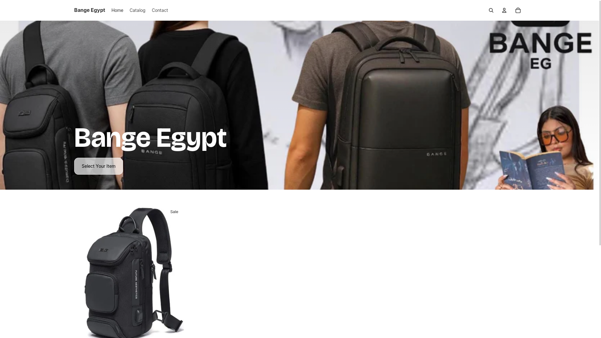 website screenshot of https://bangeegypt.com/
