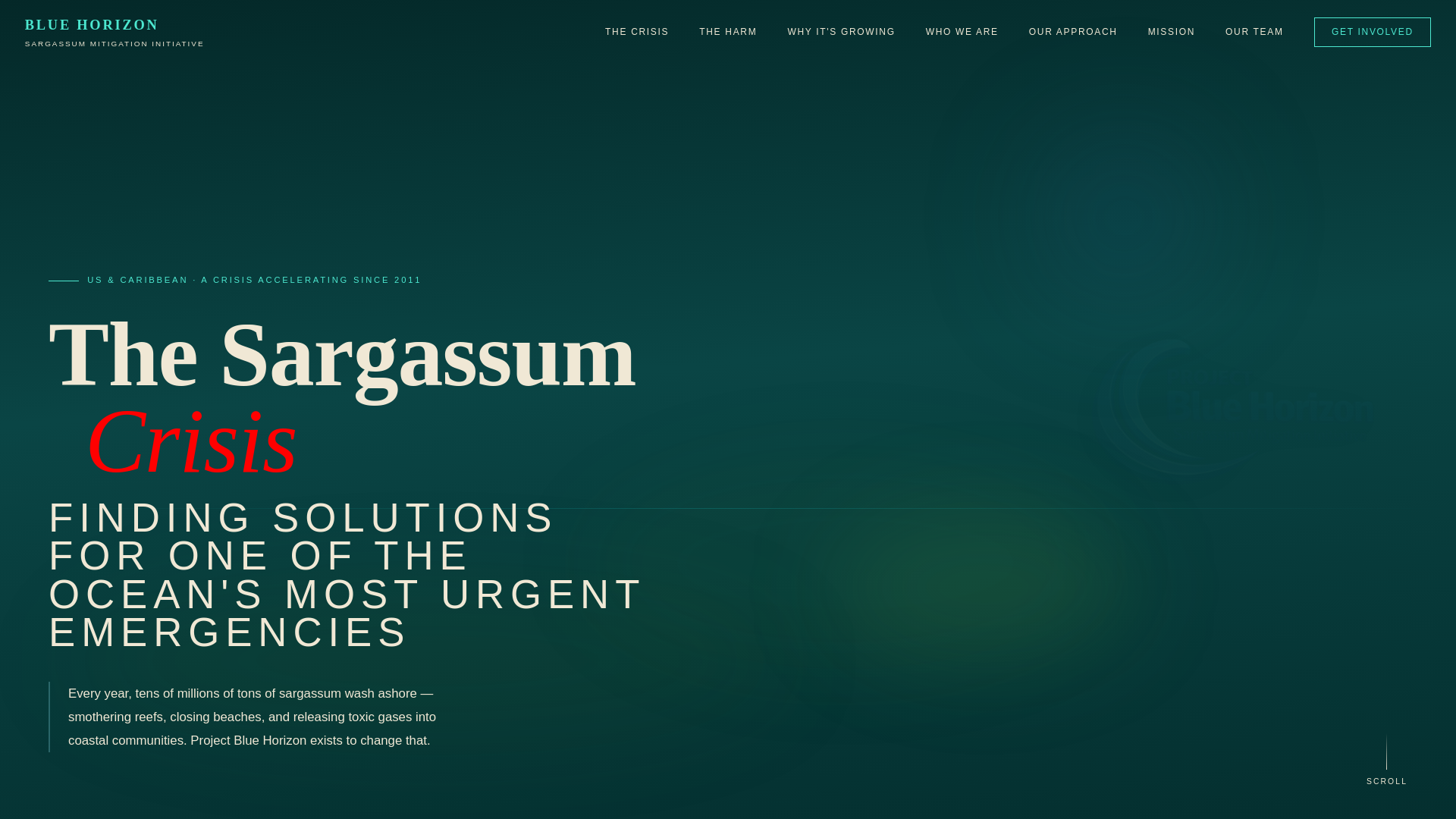 website screenshot of https://bluehorizon-usa.com/