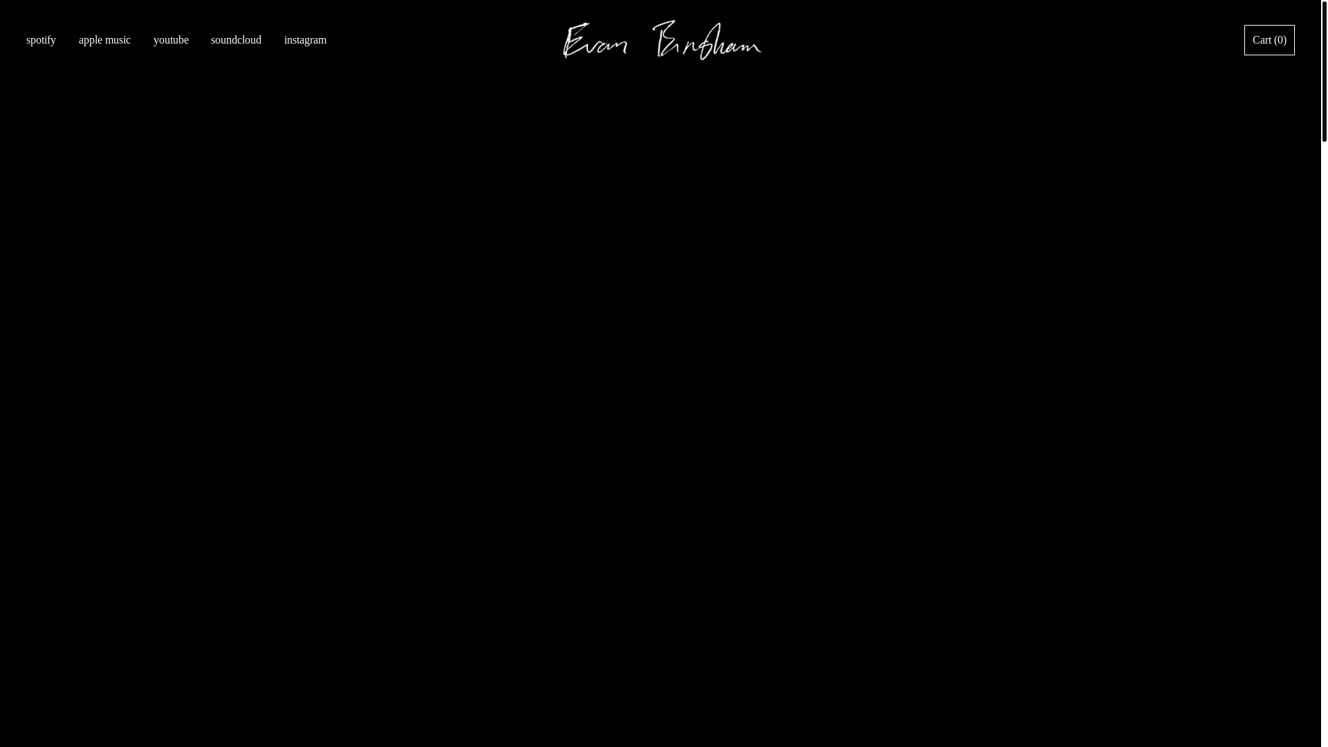 website screenshot of https://whoisevanbingham.com/