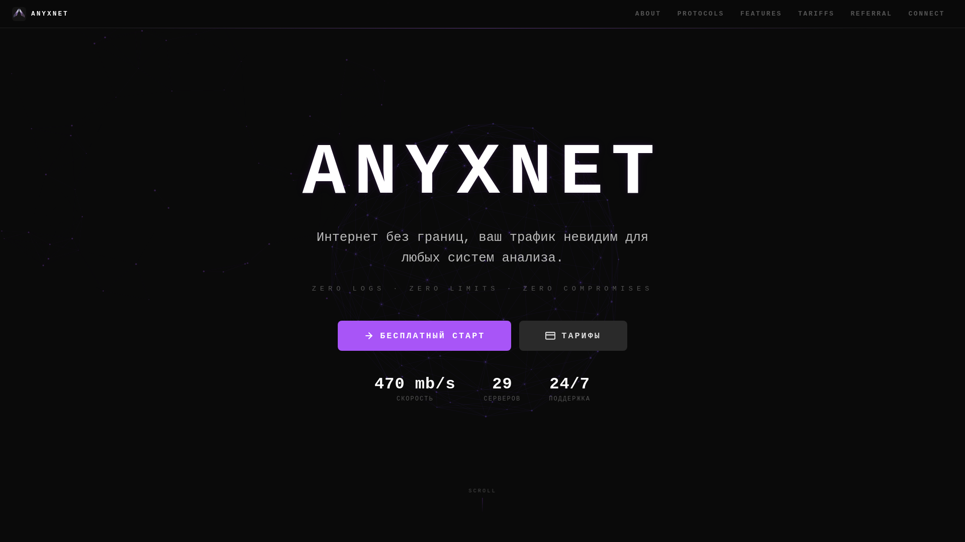 website screenshot of https://anyxnet.org