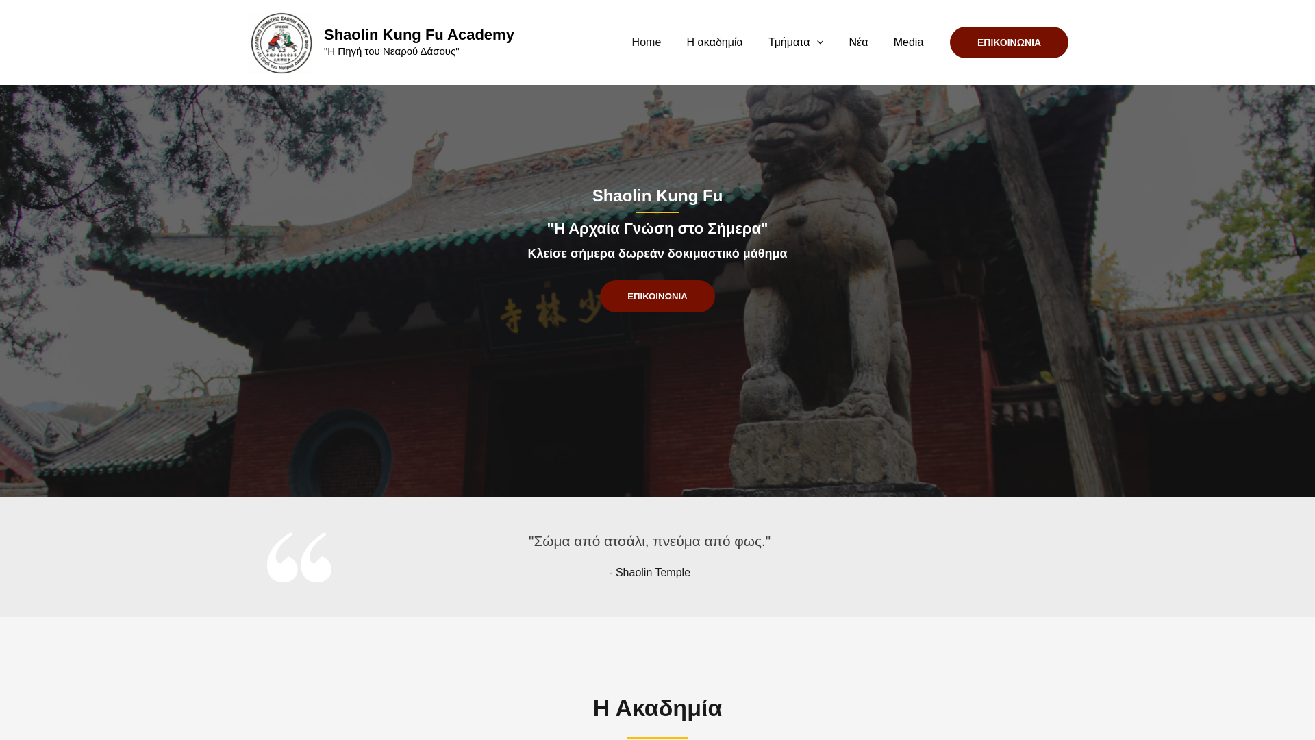 website screenshot of https://shaolinkungfuacademy.com.gr/