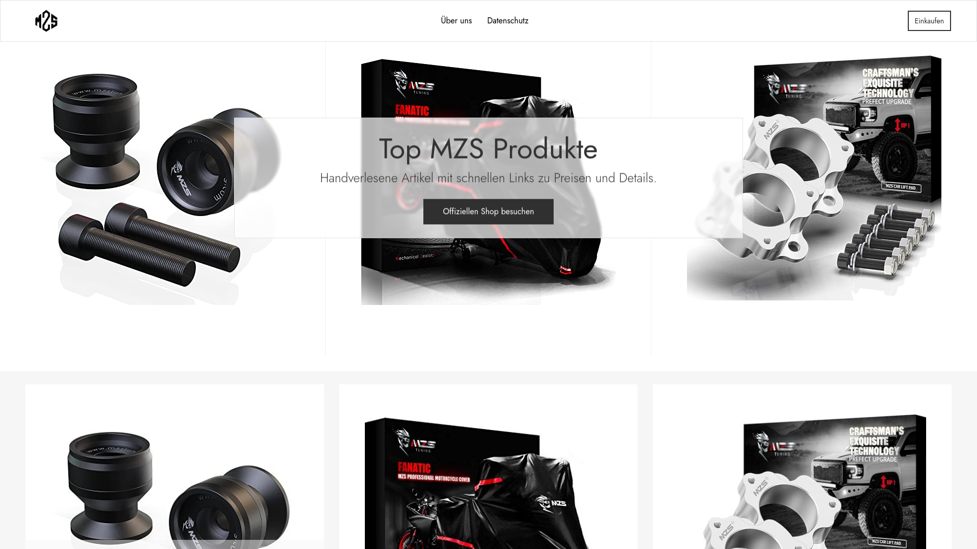 website screenshot of https://das-mzs.de/