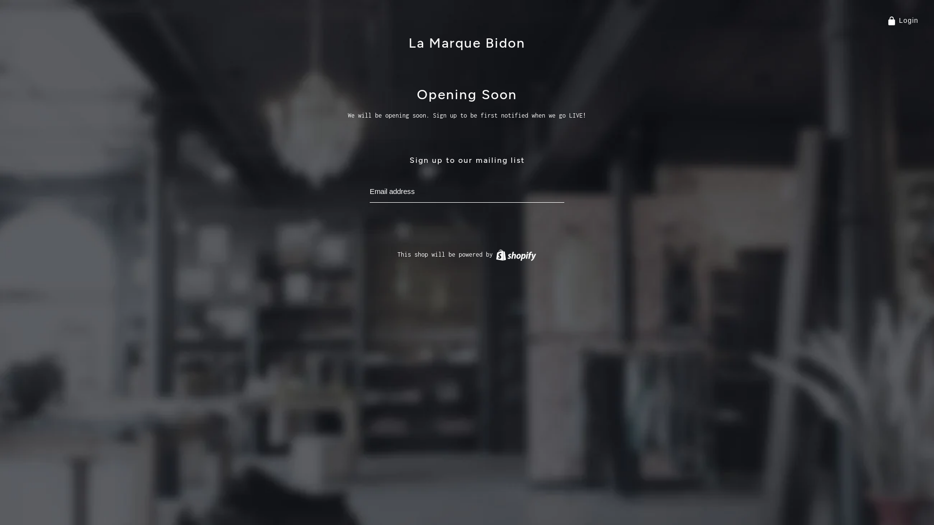 website screenshot of https://lamarquebidon.com/