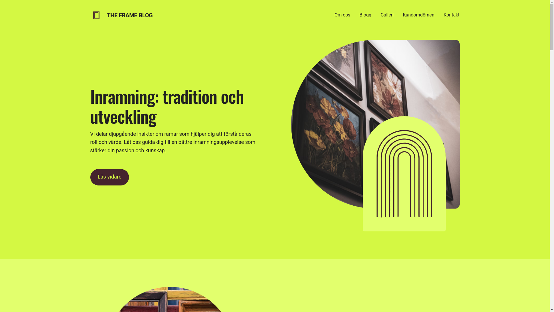 website screenshot of https://theframebloghub.nu/