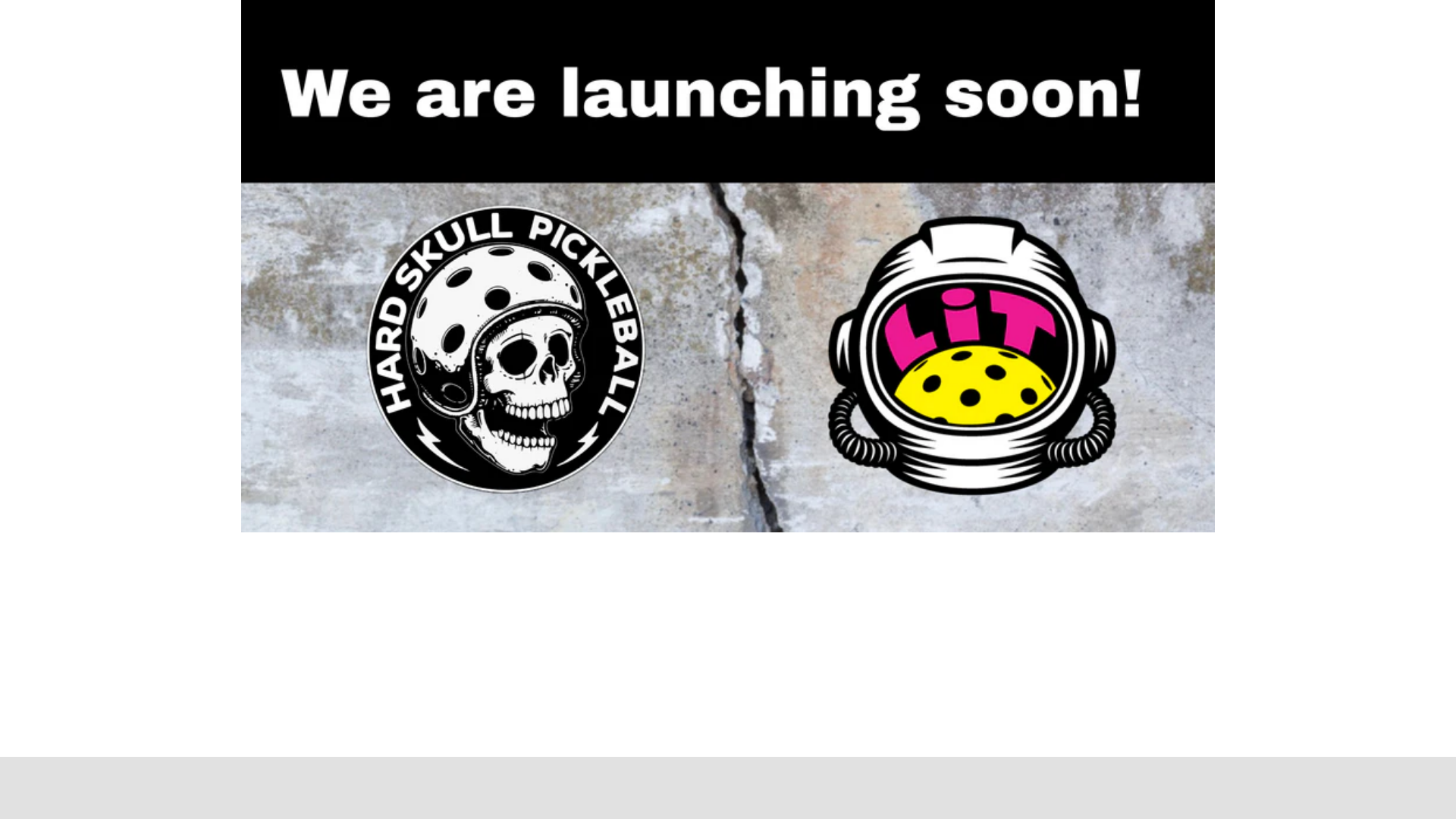 website screenshot of https://indiepickleball.com/