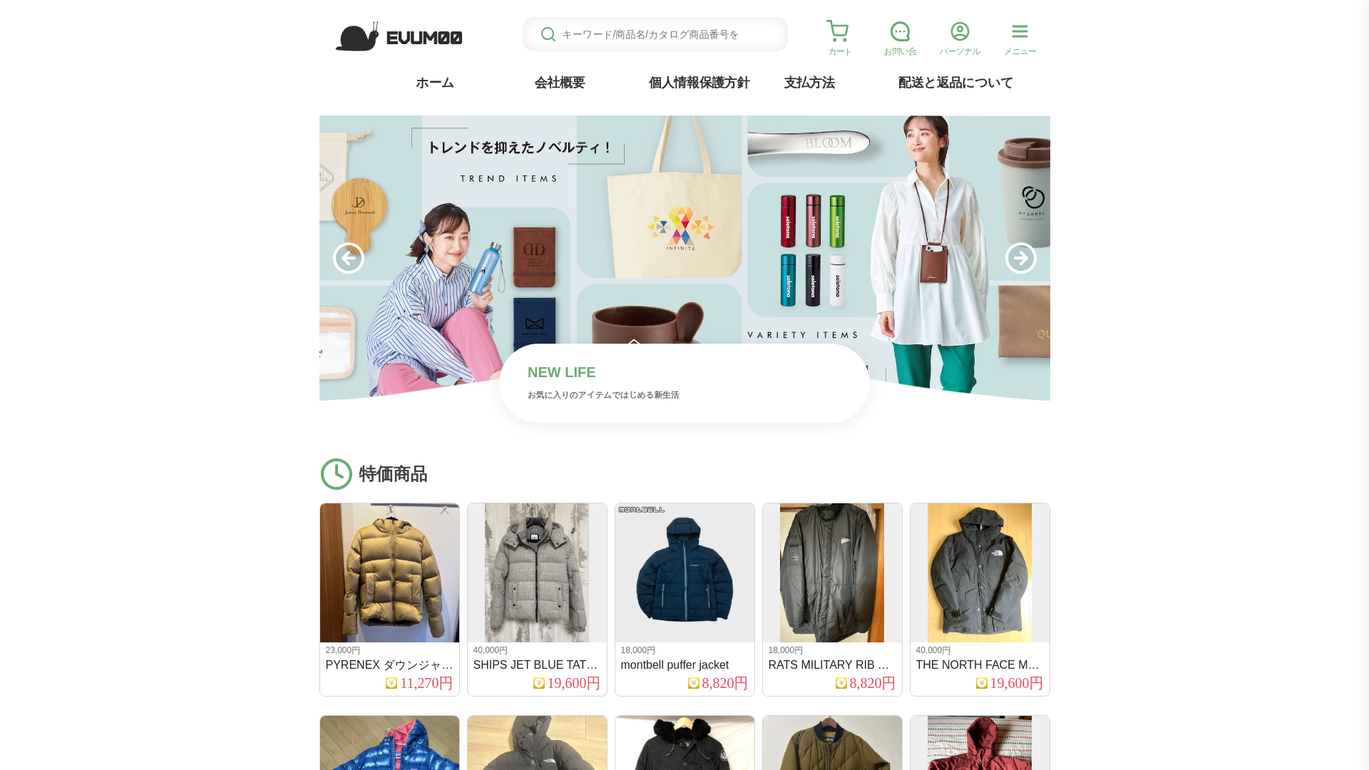 website screenshot of https://evum.smazepos.click