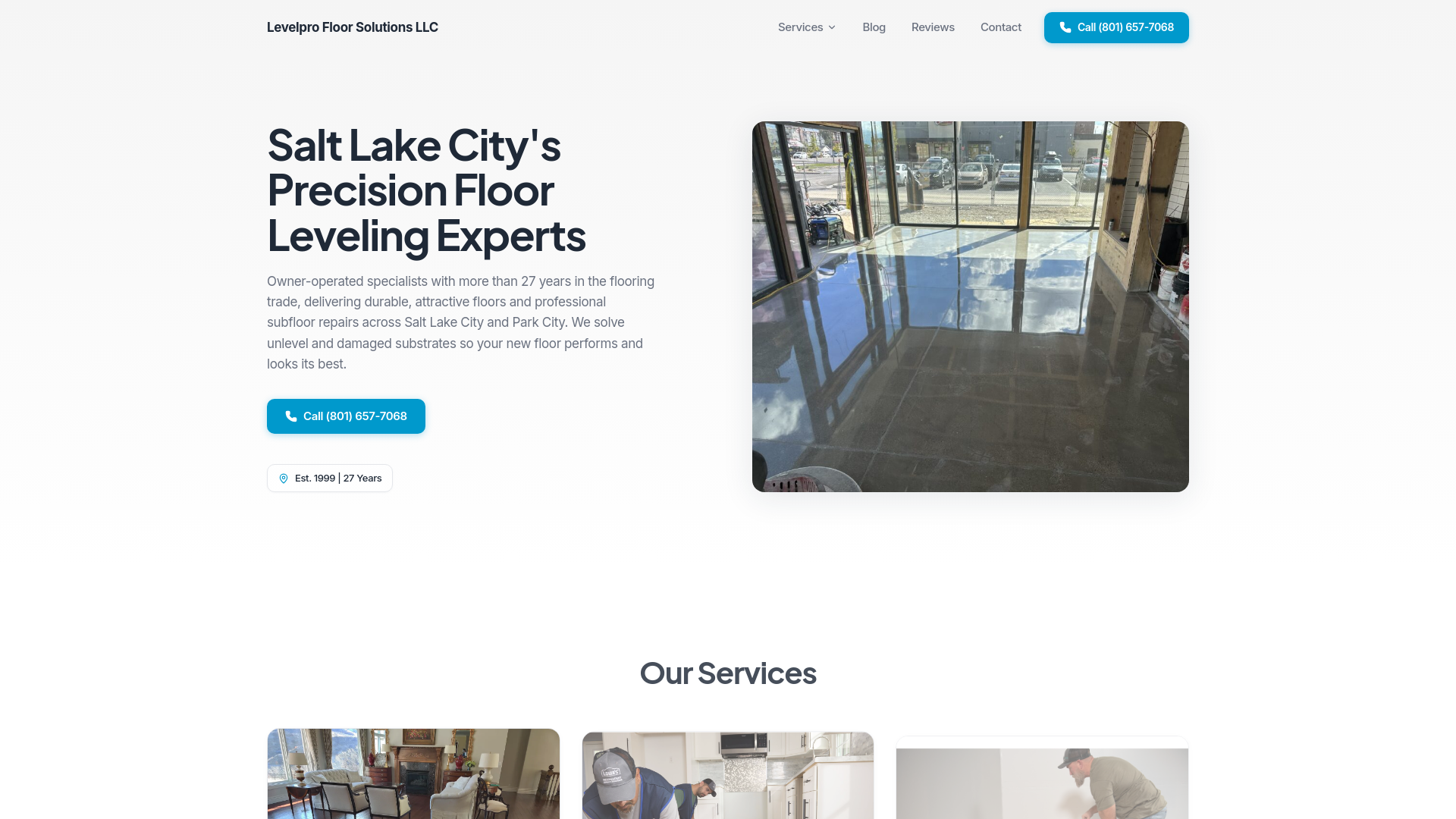 website screenshot of https://levelprofloorsolutions.com/