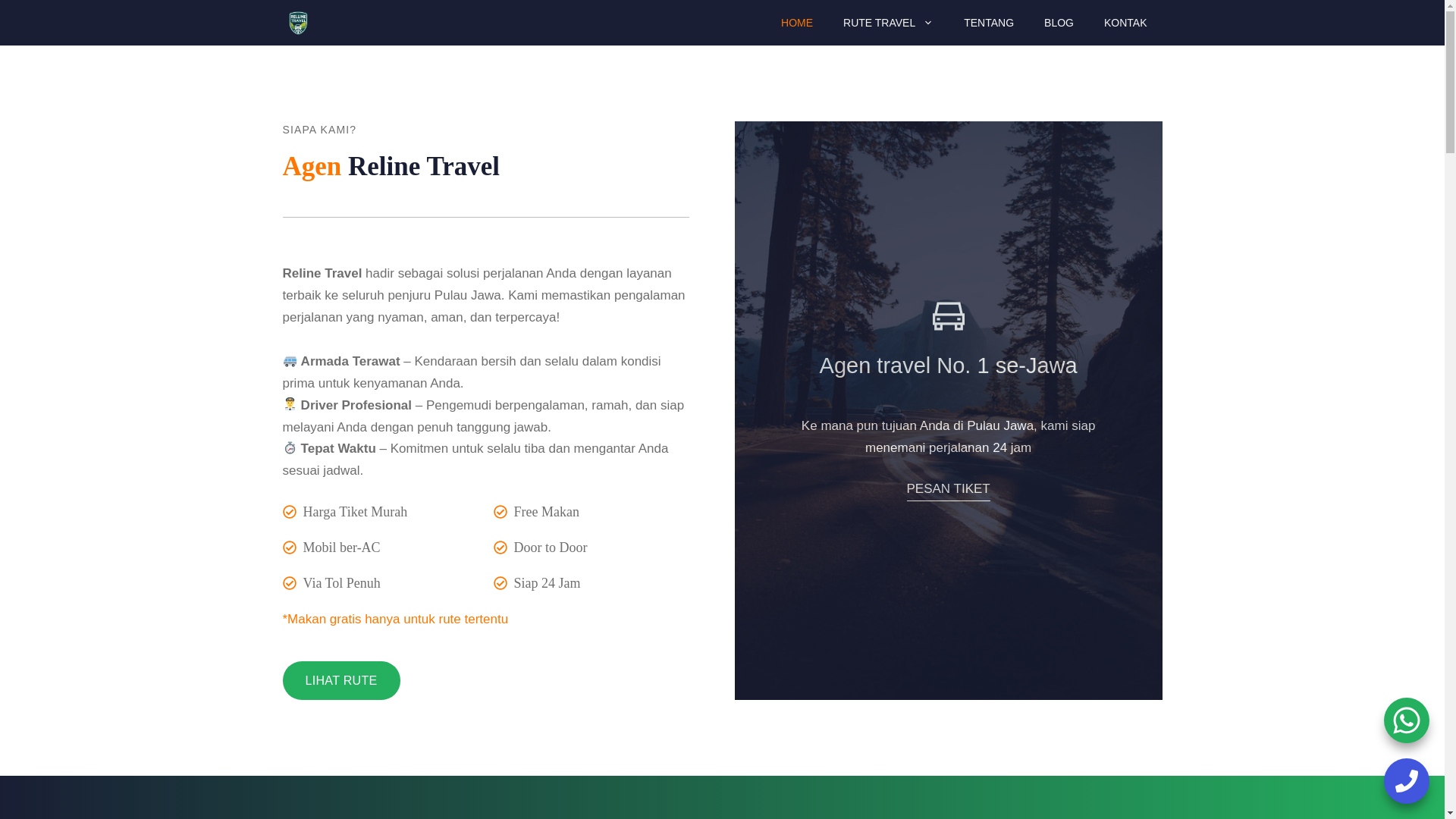 website screenshot of https://relinetravel.com/