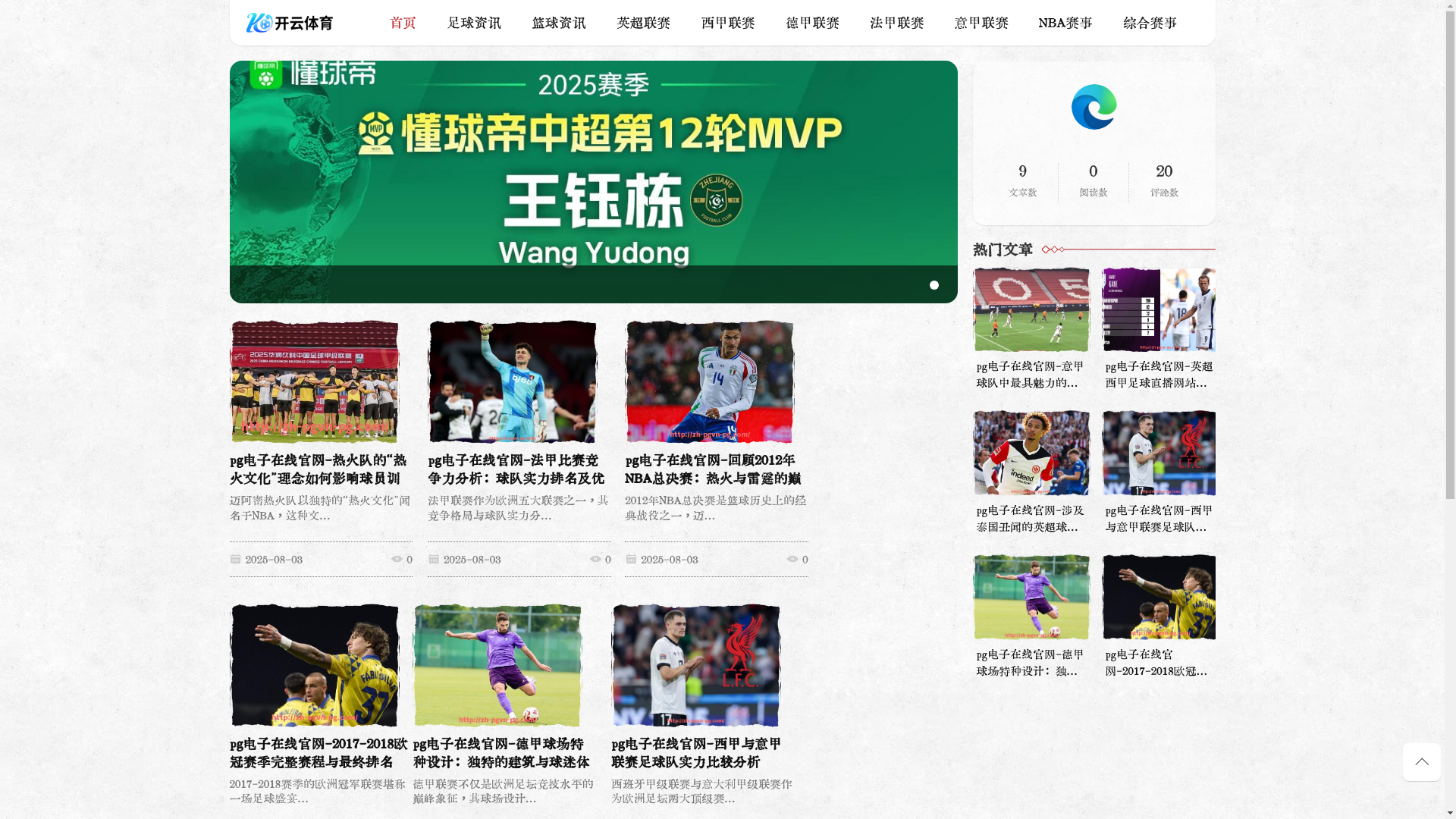 website screenshot of https://zh-pgvn-pg.com/