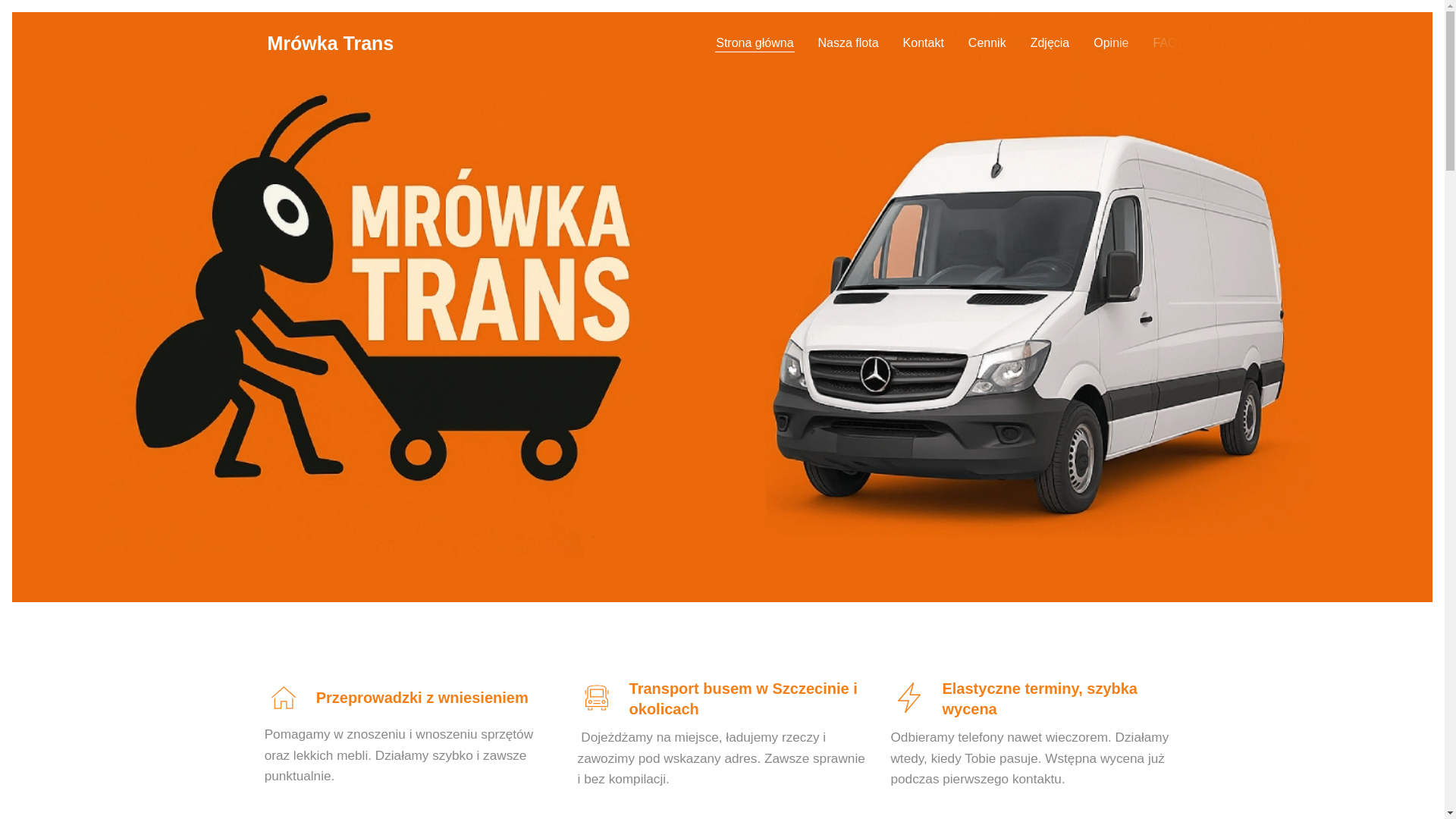 website screenshot of https://mrowkatrans.pl/