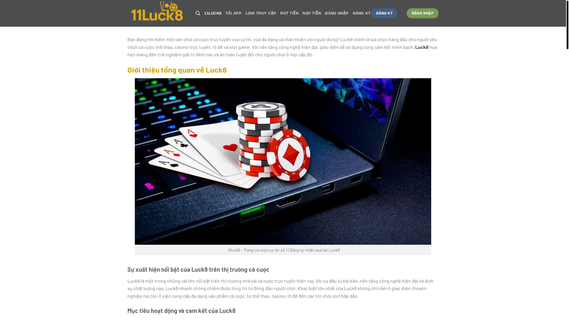 website screenshot of https://luck8.study/