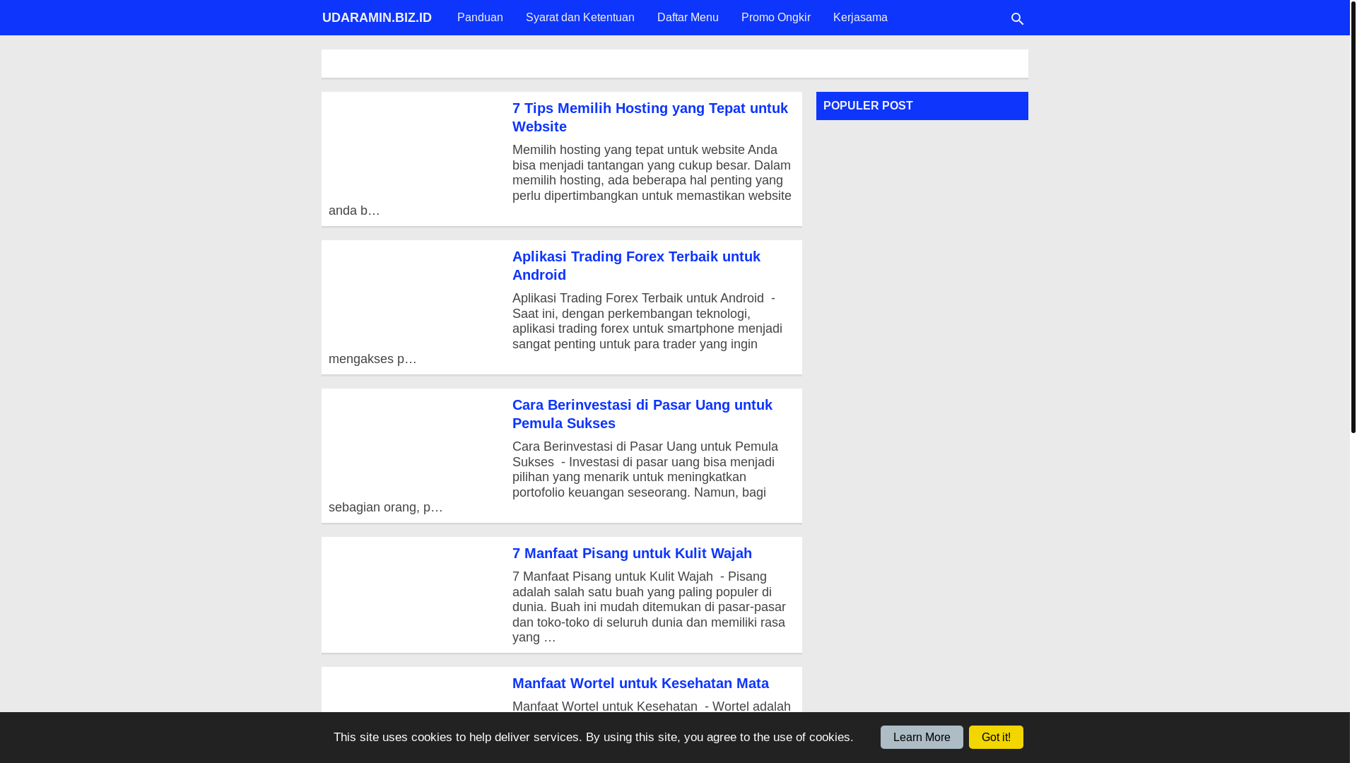 website screenshot of https://wisatadilombokaja.web.id/