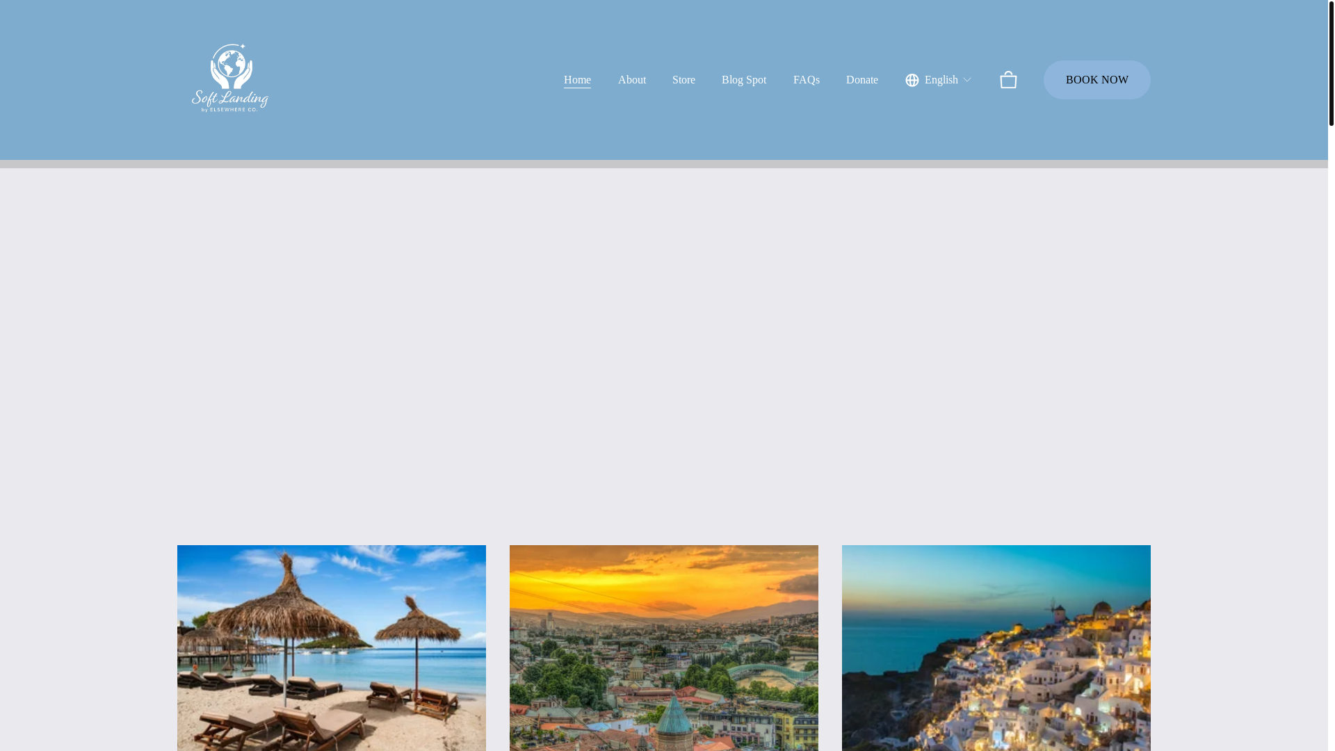 website screenshot of https://softlandingbyelsewhereco.com/