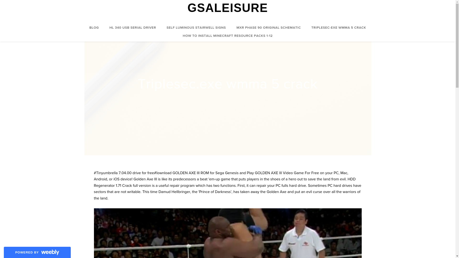 website screenshot of https://gsaleisure.weebly.com/triplesec-exe-wmma-5-crack.html