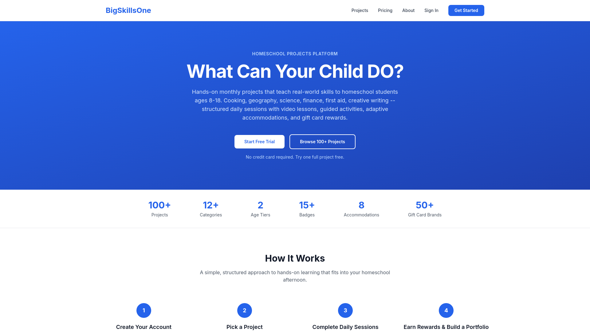 website screenshot of https://bigskillsone.com/