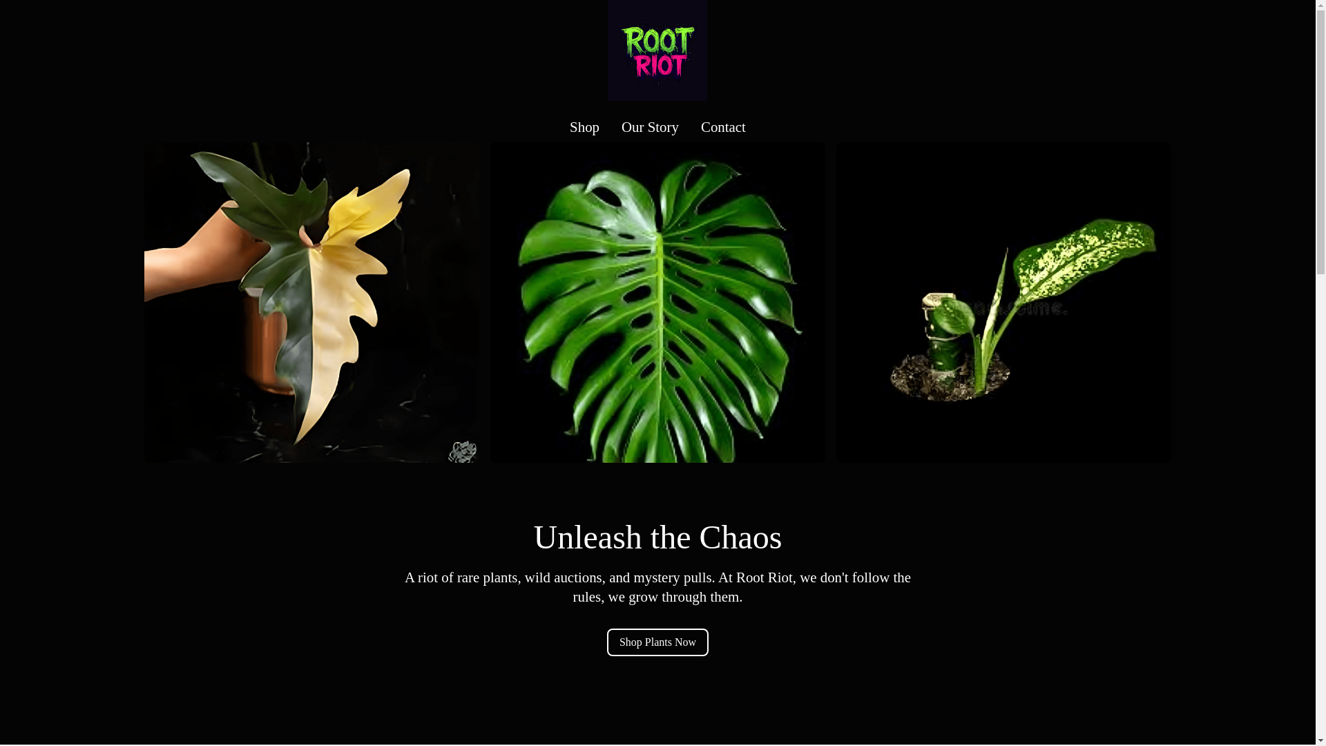 website screenshot of https://twistedrootriot.com/