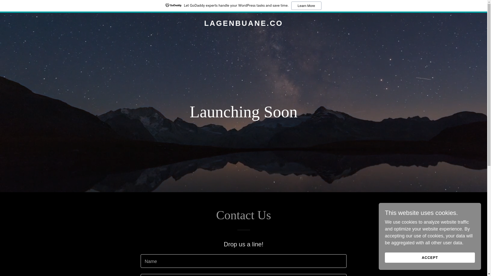 website screenshot of https://lagenbuane.co/